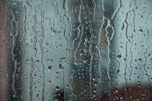 Window Rain Screen