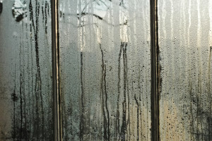 Air and Moisture Control in Buildings