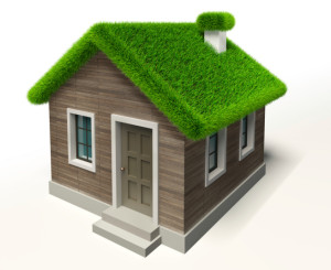 Prevent Garden Roof Failures and Problems