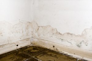 water damage and mold in a basement