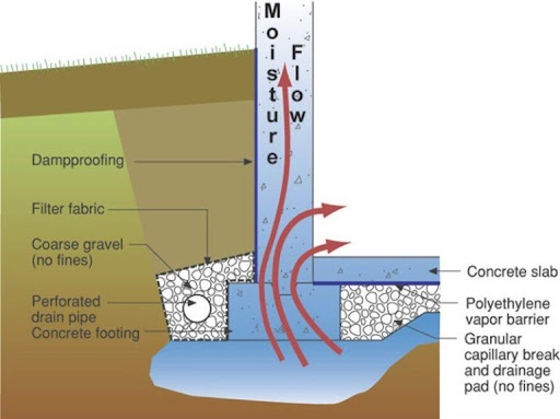 example of capillary rise