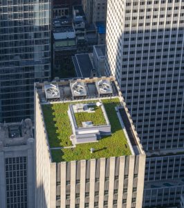 Green roof of a skyscraper in New York City. It is a roof covered with vegetation